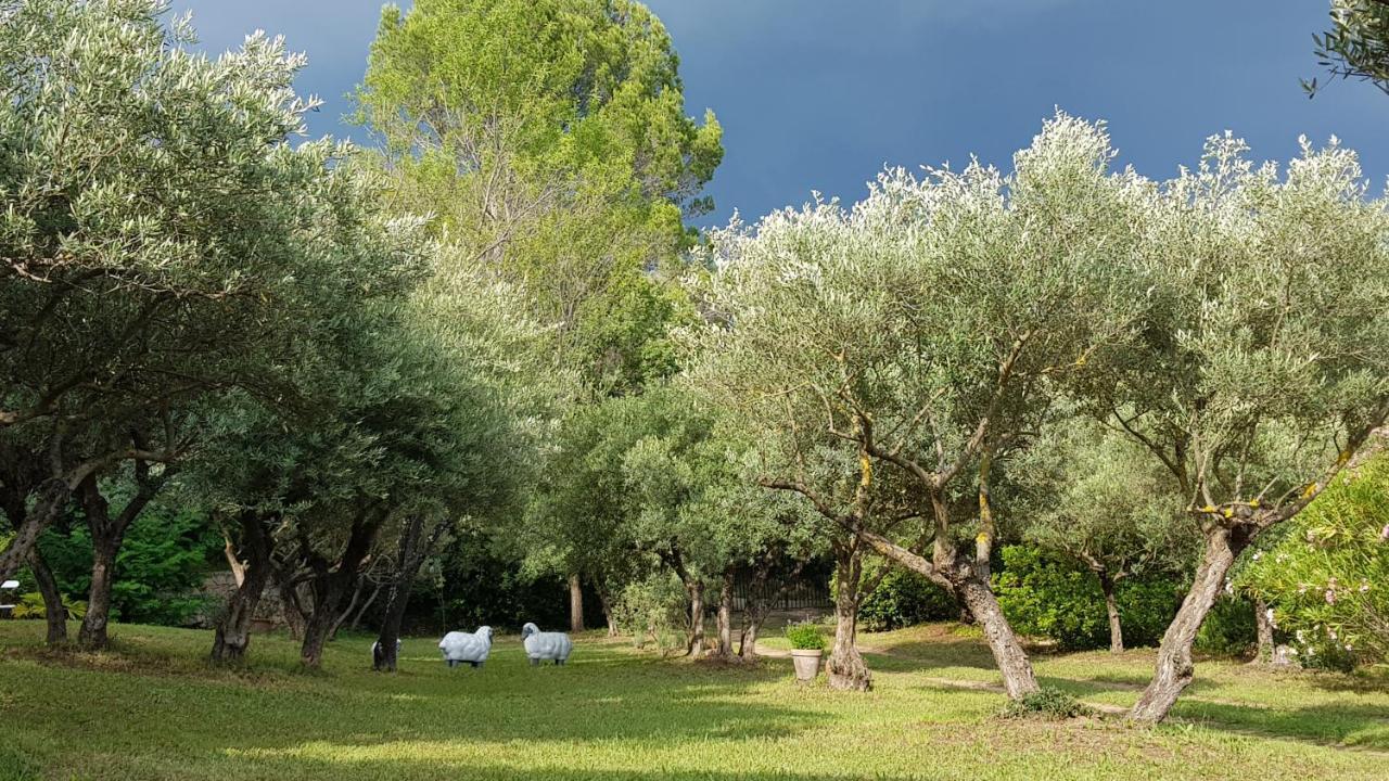 Pierres Blanches Bed & Breakfast Cotignac Exterior foto