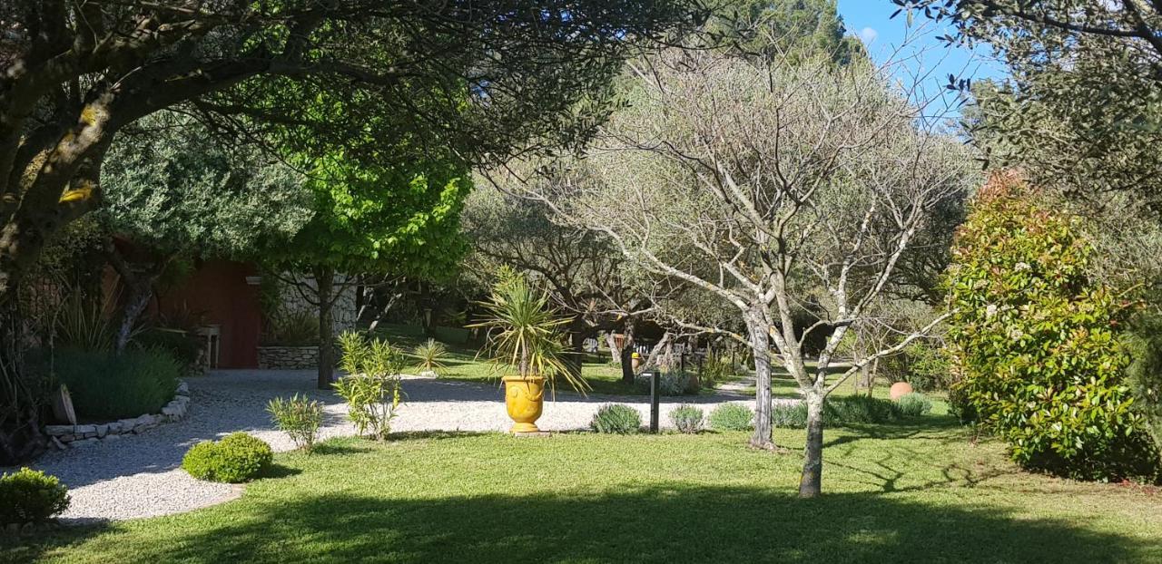 Pierres Blanches Bed & Breakfast Cotignac Exterior foto